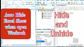 Automatic Hide Excel Sheet using Excel VBA