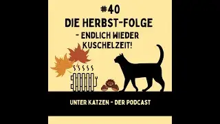 #40 Die Herbst-Folge - Endlich wieder Kuschelzeit!