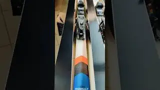 Горные лыжи Dynastar Team Assault Race Team ЯБегу купить дешево в Москве. Доставка. Сервис лыж и СНБ