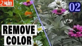 How to remove selected color in Adobe After Effects 2023 - Class 02 - 4K Tutorials