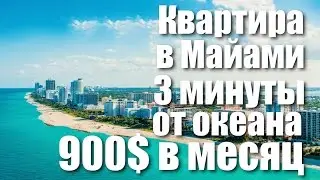 Квартира в Майами 3 Минуты от Океана $900