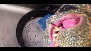 DINOSAUR PUPPET MISS HIS OLD LIFE!!