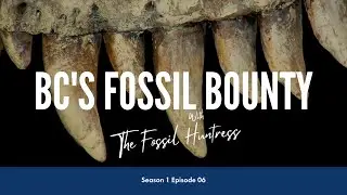 BC's Fossil Bounty I S1 Ep 6