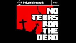 Rob GEE - Right Now - ISR25