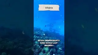 Pesona bawah laut indonesia