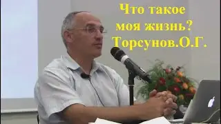 Что такое моя жизнь? Торсунов.О.Г.