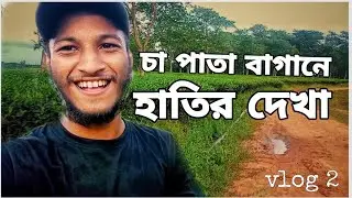 চা বাগান - (vlog 2)।Bong kutu চাটগাঁইয়া ব্লগ