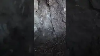 Tılsımlı Akrepler Definecilere Saldırıyor Durmadan !!