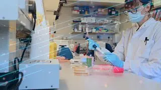 What lymphoma research is happening in Oxford?