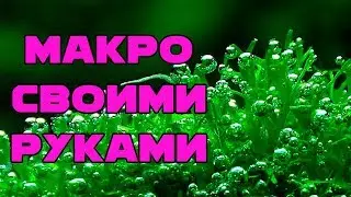 МАКРО УДОБРЕНИЕ СВОИМИ РУКАМИ