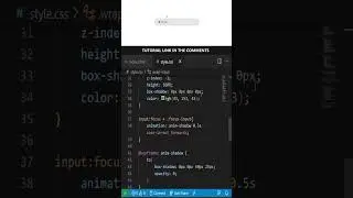 Animated Focus Input Field Using CSS only 