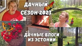 Дачный сезон 2023.Рубрика кофе с Яной.Первый день на даче.Начались проблемы.Уборка на дачном участке