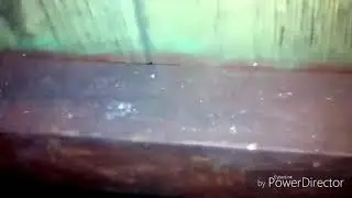 Ты чё енутый шо ты там делаешь без мата