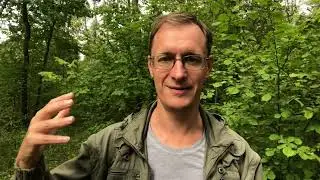 Домашнее обучение вместо школы. Плюсы и минусы
