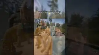 нубы в squad 