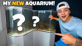 Building NEW 150G AQUARIUM at New Shop!!