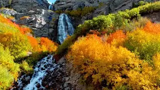 Fall Colors | Sony Alpha a7s3 | 4K