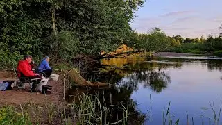 Подводные Обитатели Березины! Лещ, Плотва, Густера на Реке Березина! Рыбалка с Ночевкой. Фидер.