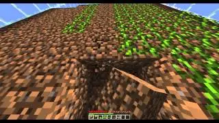 Прохождение карт: Ant Farm #1