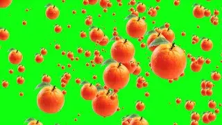 Oranges fruits falling green screen Background free video effects Full Hd in 2021