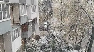 два дня назад. весь в снеху я