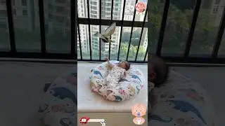 Cute 🦅 || Chhota baccha || 