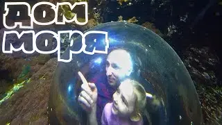 Австрия.ВЕНА.Дом Моря.Haus des Meeres.Подробный ОБЗОР.перезалив от 29.05.2023