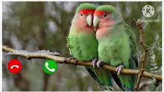Romantic Ringtone 💕Love Ringtone Hindi ringtone love story Romantic Ringtone 2024💕