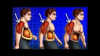 9 Способов Как Сжигать Жир и не Терять Мышечную Массу