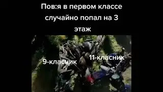 жиза