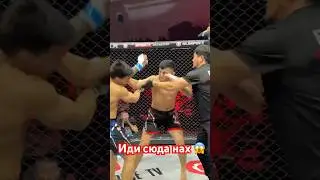 Иди сюда нах 😱 #mma #muradaov #мма #кунфу #бокс #файтинг #ufc #харидуз #бои #sports