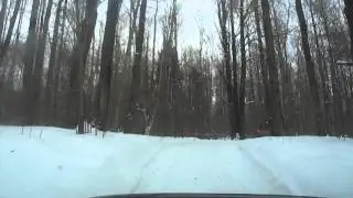 7.02.15. церкви и усадьбы Калужской области 11