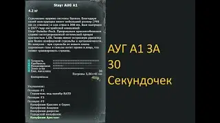 Обзор на AUG A1 за 30 Секунд(Почти)  ( 10 вайп )|Mysterious Zone | STALKER RP