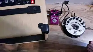 Струны Эмузин 08-39 + Ерасов Гаврош 8 (Yerasov GAVROSH 8) + TUBE MONSTER TM-1 + AMT RY-1 Reverberry