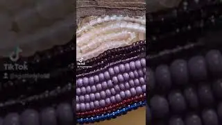Indigenous Beadwork art