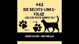 #43 Die Rechts-Links-Folge: 