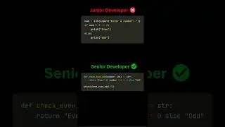Junior vs Senior Python Developer: Even or Odd  A Coding Perspective 