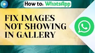 WhatsApp Images Not Showing In Gallery Of Android Device | Samsung (Fixed)