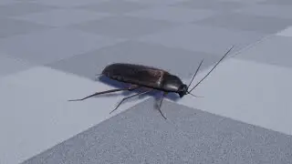 Medhue Cockroach inside Unreal Engine!!!