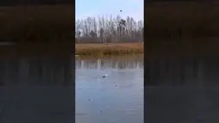 ЩУКА УТОПИЛА МОЙ РАДИОУПРАВЛЯЕМЫЙ КАТЕР? ЧАСТЬ 1. 