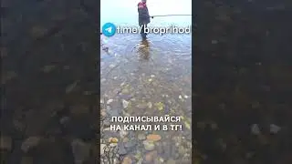 Внезапный хариус! #рыбалка #fishing #рыба #река #лето #братьяПриходько #спиннинг #хариус