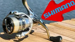 Before You Buy: Shimano Sedona FI Product Review