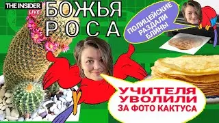 Декоративные блины от полицейских | Выложил фото кактуса — уволен | Самые абсурдные новости недели