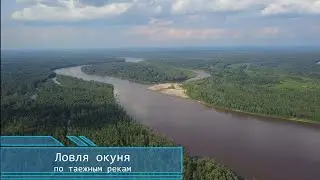 Ловля окуня на таёжных реках.