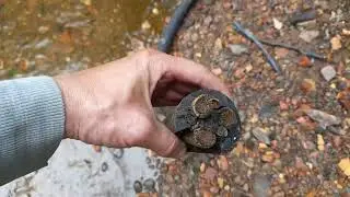 Медный ручей. Рекордный вес. Анонс видео.