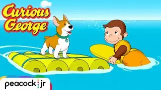 Day at the Dog Beach | CURIOUS GEORGE