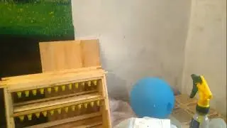 Пришли с Кисловодска матки пчёл карпаток от Тимофеевых. Пчеловодство.