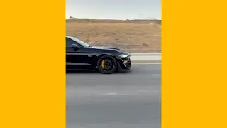 MUSTANG GT PULLS 