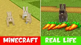 Minecraft vs REAL LIFE! - Rabbits!