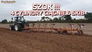 SZOK-Traktor Arbos 5130 4 cylindry ciągnie 6 skib pług obrotowy | Orka 2019 | Test [Korbanek]